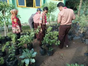 kebun sekolah 1